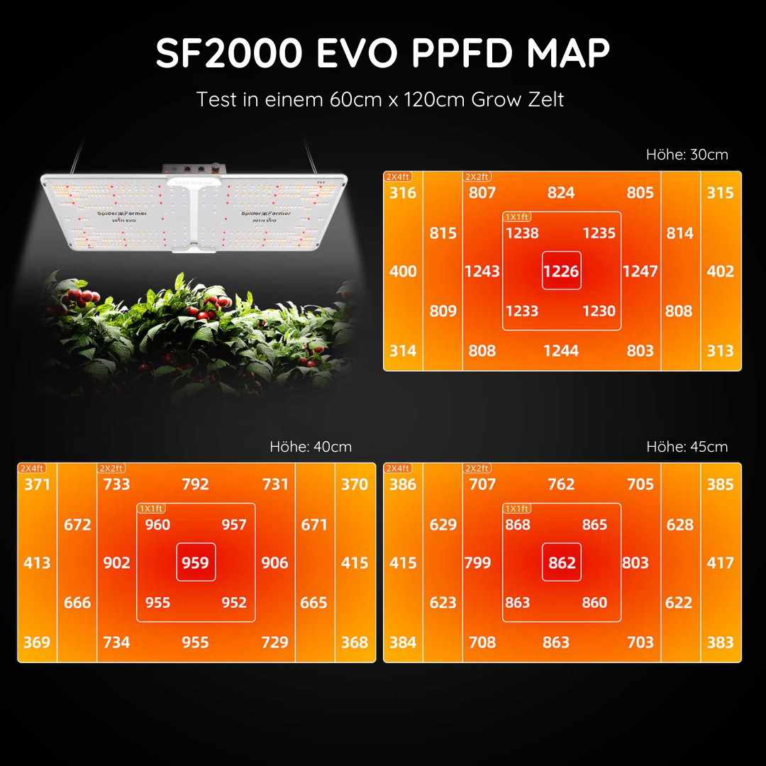 Spider Farmer SF2000 Growkomplettset - 60cm x 120cm x 180cm