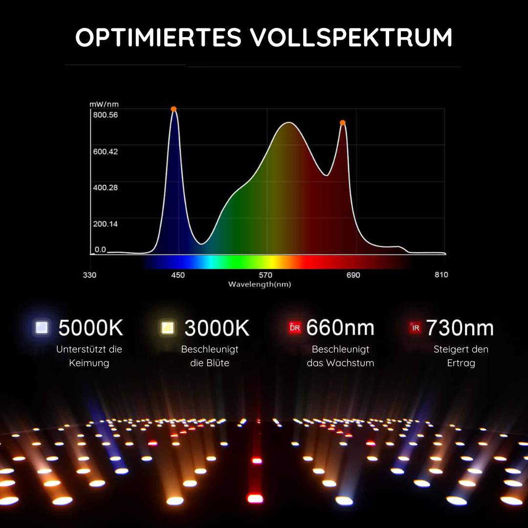 Spider Farmer SF2000 Growkomplettset - 60cm x 120cm x 180cm
