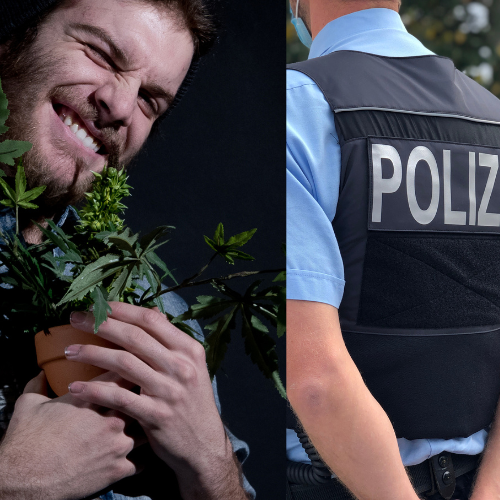 Cannabis Legalisierung in Deutschland