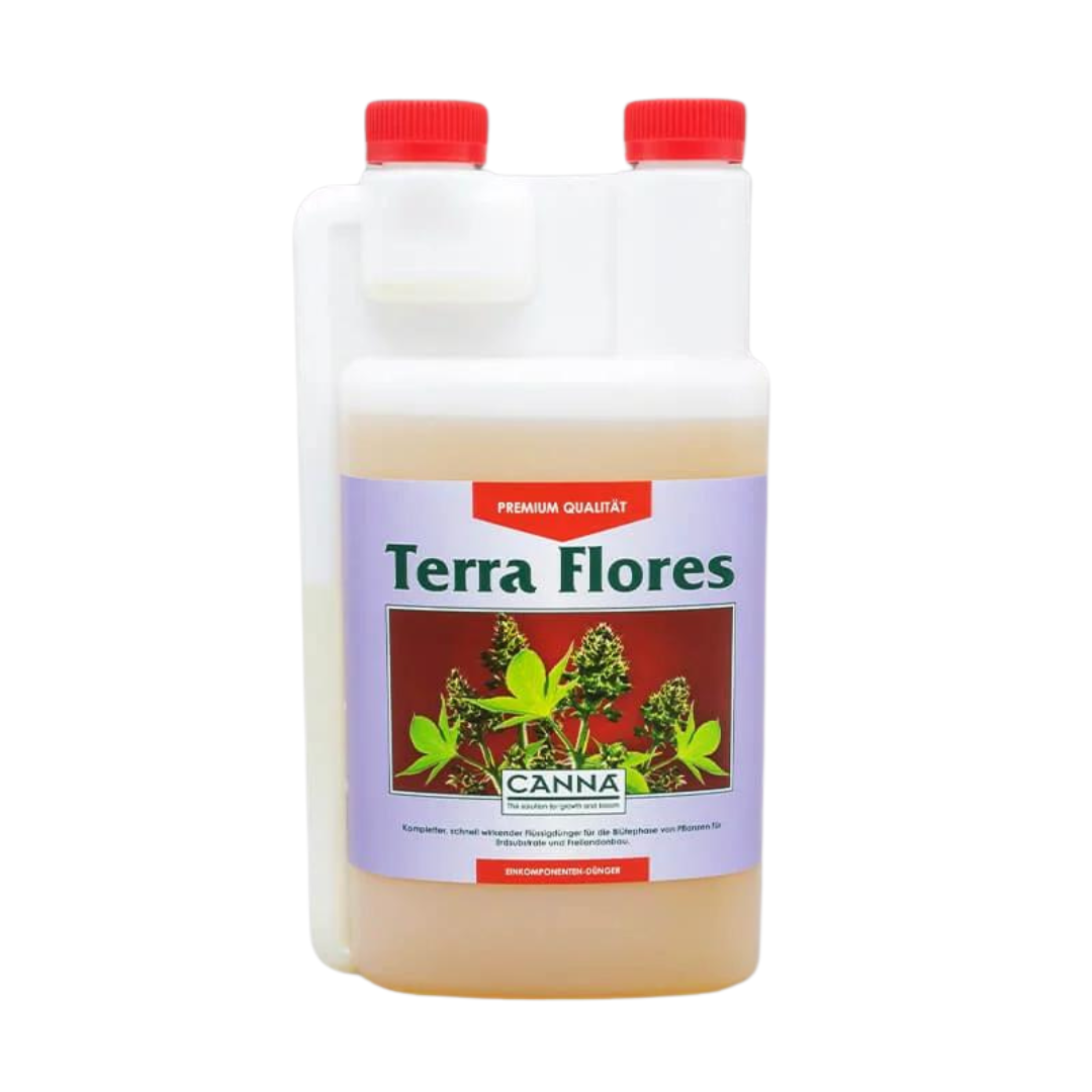 Canna Terra Flores